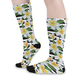 Plumeria Flower Striped Pattern Print Long Socks