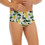 Plumeria Flower Striped Pattern Print Men's Briefs