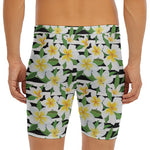Plumeria Flower Striped Pattern Print Men's Long Boxer Briefs