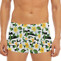 Plumeria Flower Striped Pattern Print Men's Short Boxer Briefs