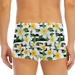 Plumeria Flower Striped Pattern Print Men's Short Boxer Briefs