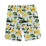 Plumeria Flower Striped Pattern Print Men's Sports Shorts