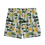 Plumeria Flower Striped Pattern Print Mesh Shorts