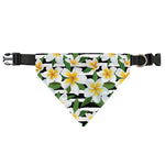 Plumeria Flower Striped Pattern Print Over The Collar Dog Bandana