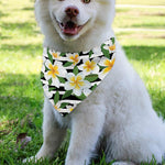 Plumeria Flower Striped Pattern Print Over The Collar Dog Bandana