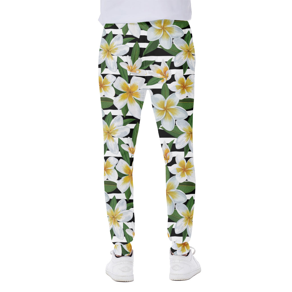 Plumeria Flower Striped Pattern Print Scuba Joggers