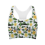 Plumeria Flower Striped Pattern Print Women's Sports Bra
