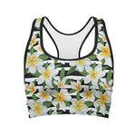 Plumeria Flower Striped Pattern Print Women's Sports Bra
