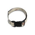 Polka Dot Jack Russell Terrier Print Dog Collar