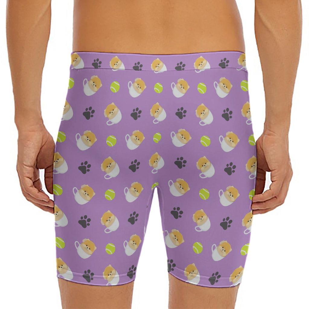 Pomeranian In Tea Cup Pattern Print Men's Long Boxer Briefs