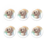 Poodle Portrait Print Coaster Set