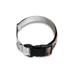 Poodle Portrait Print Dog Collar