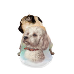 Poodle Portrait Print Dog Zip Up Jacket