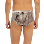 Poodle Portrait Print Men's Briefs