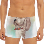 Poodle Portrait Print Men's Short Boxer Briefs