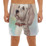 Poodle Portrait Print Men's Split Running Shorts