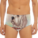 Poodle Portrait Print Men's Triangle Swim Briefs