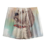 Poodle Portrait Print Mesh Shorts