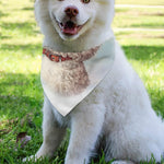 Poodle Portrait Print Over The Collar Dog Bandana