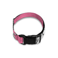 Poodle With Glasses Print Dog Collar