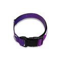 Power Of Seven Chakras Print Dog Collar