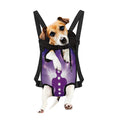 Power Of Seven Chakras Print Pet Carrier Backpack