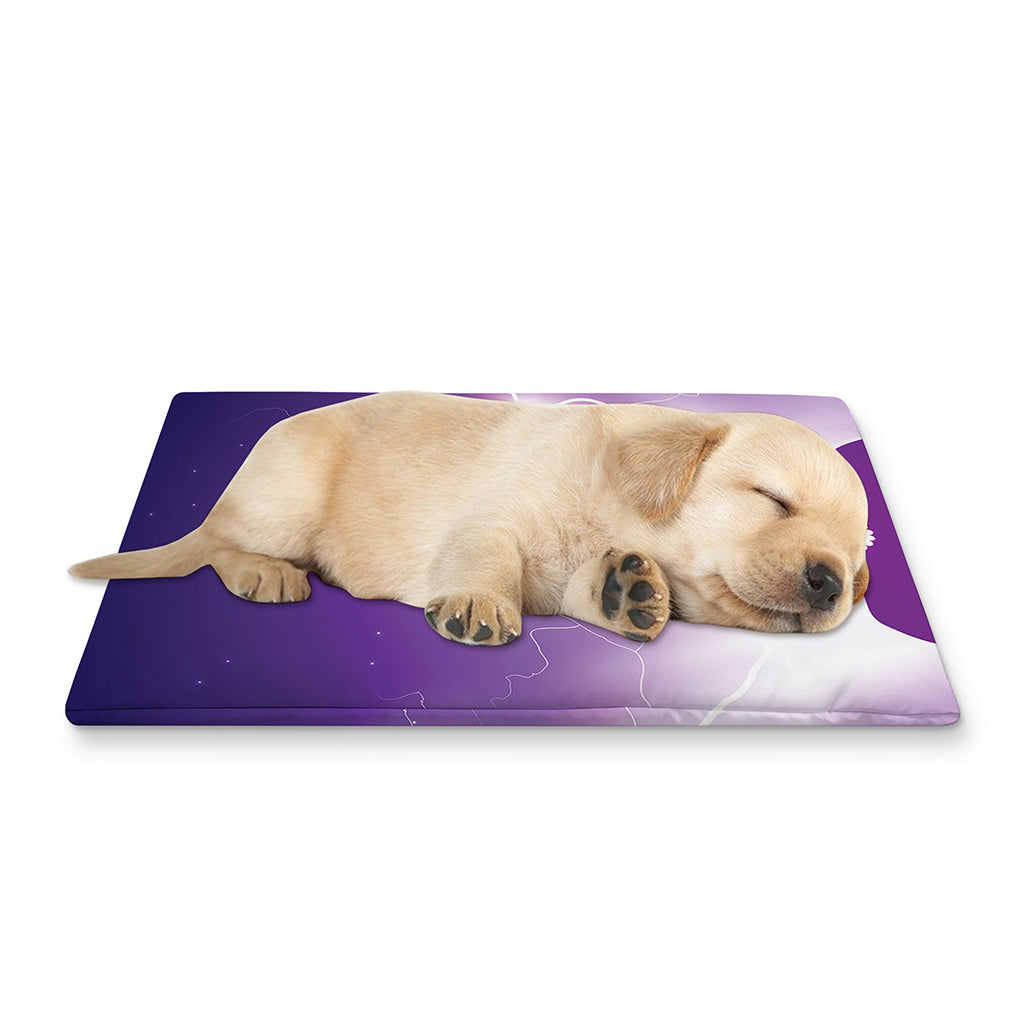 Power Of Seven Chakras Print Pet Cooling Mat Cover