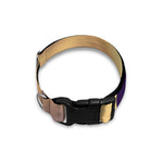 Pro Golf Swing Print Dog Collar