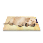 Pro Golf Swing Print Pet Cooling Mat Cover