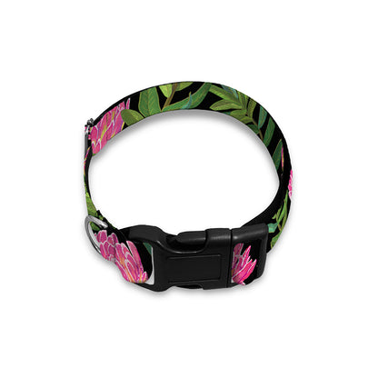 Protea Floral Pattern Print Dog Collar