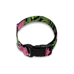Protea Floral Pattern Print Dog Collar
