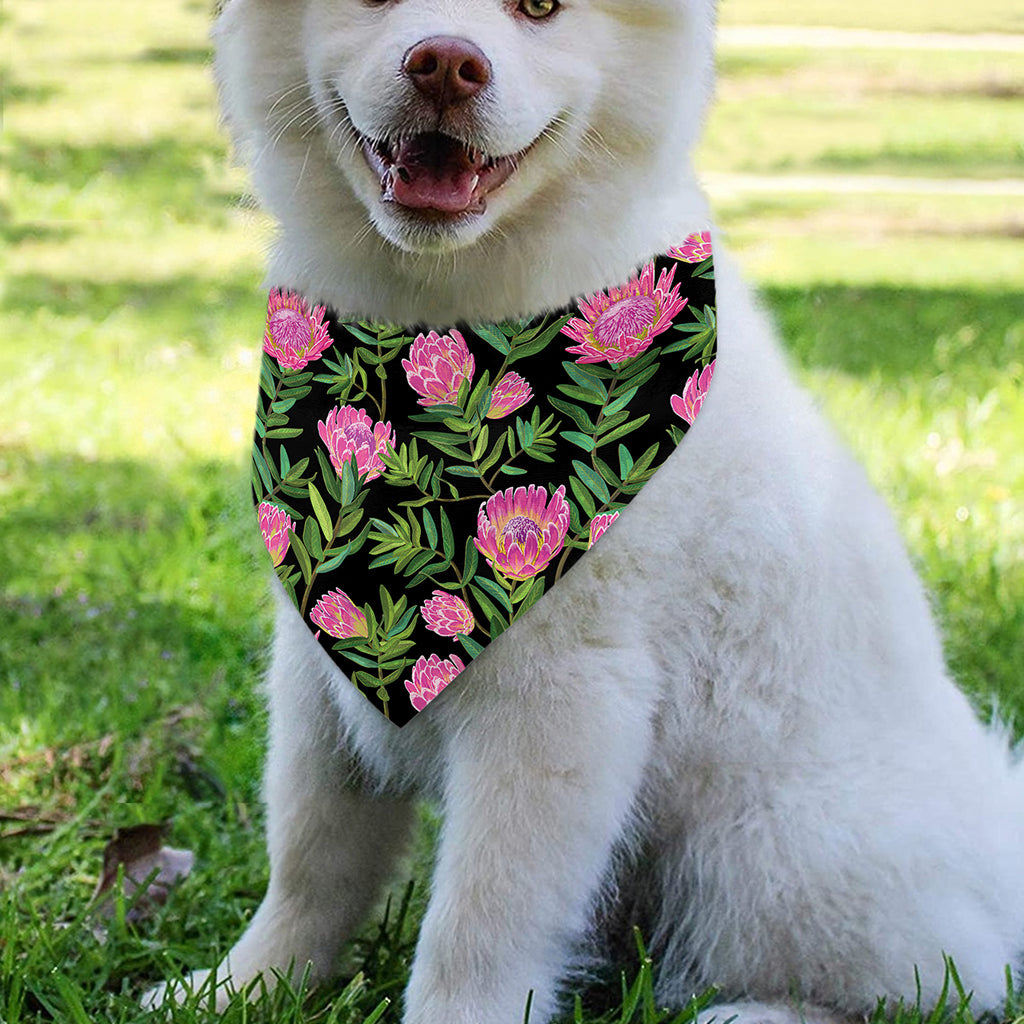 Protea Floral Pattern Print Over The Collar Dog Bandana