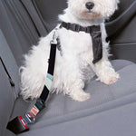 Protea Flower Print Dog Seat Belt