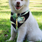 Protea Flower Print Over The Collar Dog Bandana