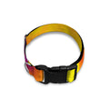 Psychedelic Acid Print Dog Collar