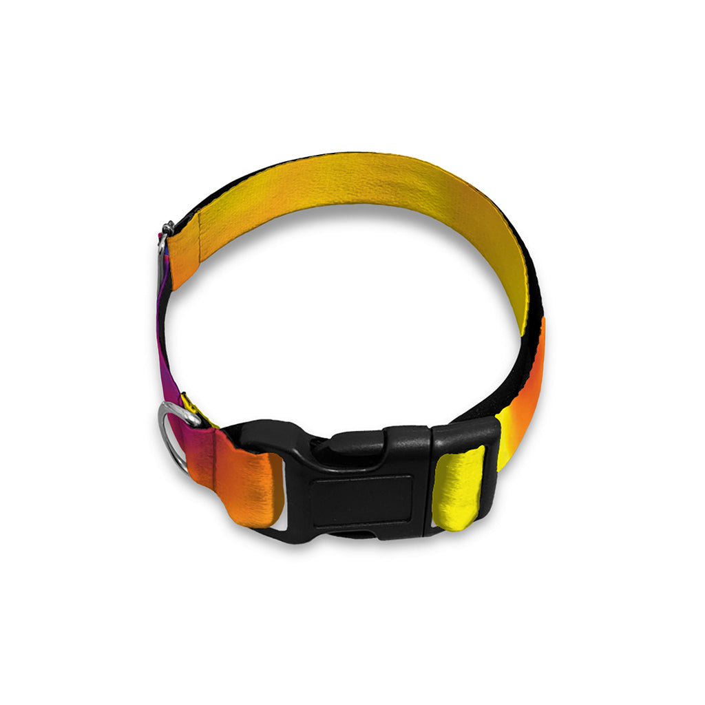 Psychedelic Acid Print Dog Collar