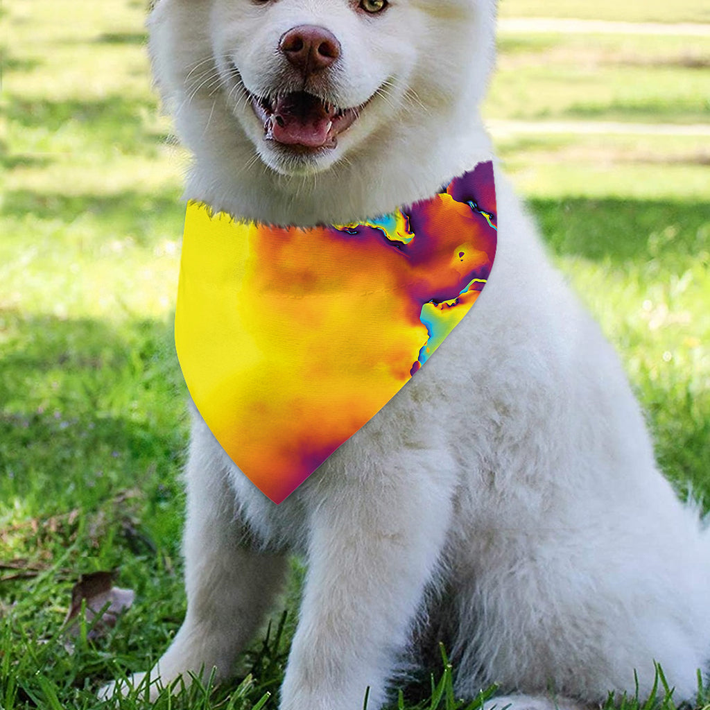 Psychedelic Acid Print Over The Collar Dog Bandana
