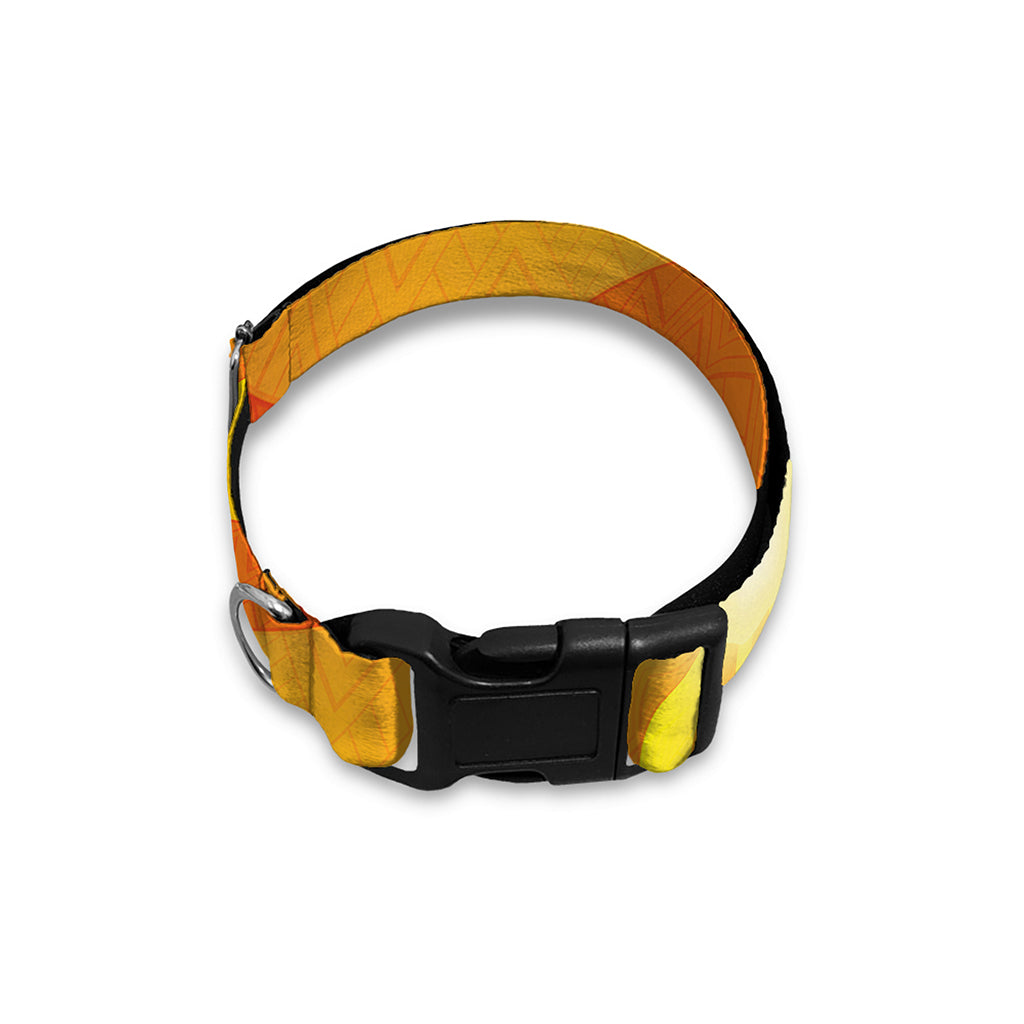 Psychedelic Burning Sun Print Dog Collar