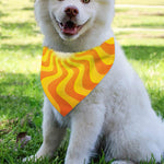 Psychedelic Burning Sun Print Over The Collar Dog Bandana