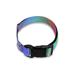 Psychedelic Holographic Trippy Print Dog Collar