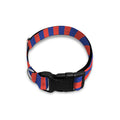 Psychedelic Illusion Print Dog Collar