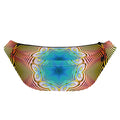 Psychedelic Kaleidoscope Print Fanny Pack