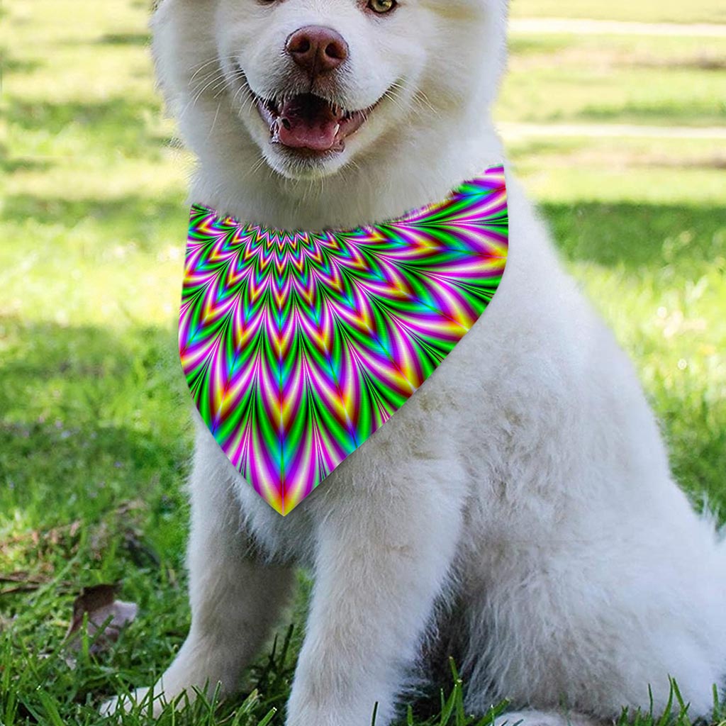 Psychedelic Radiant Optical Illusion Over The Collar Dog Bandana