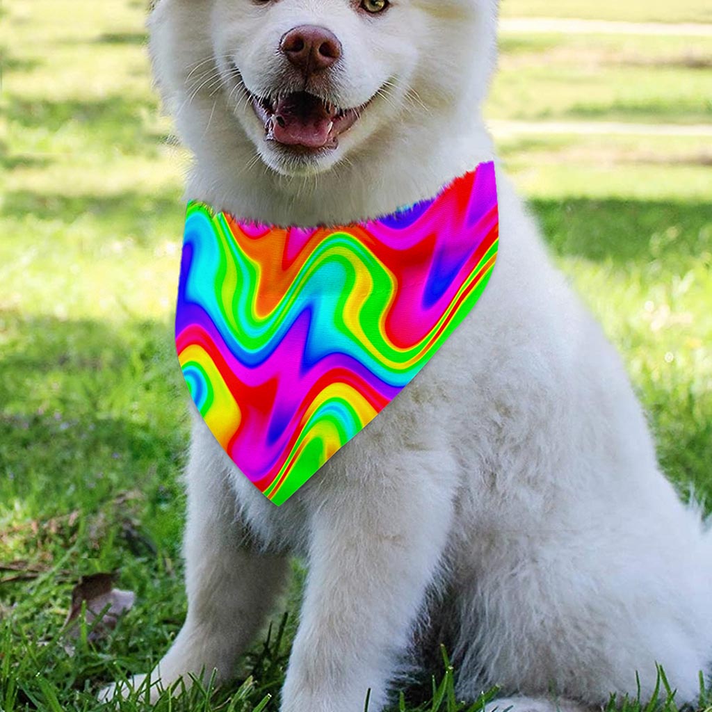 Psychedelic Rainbow Trippy Print Over The Collar Dog Bandana