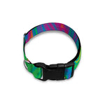 Psychedelic Surface Print Dog Collar
