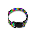 Psychedelic Web Optical Illusion Dog Collar