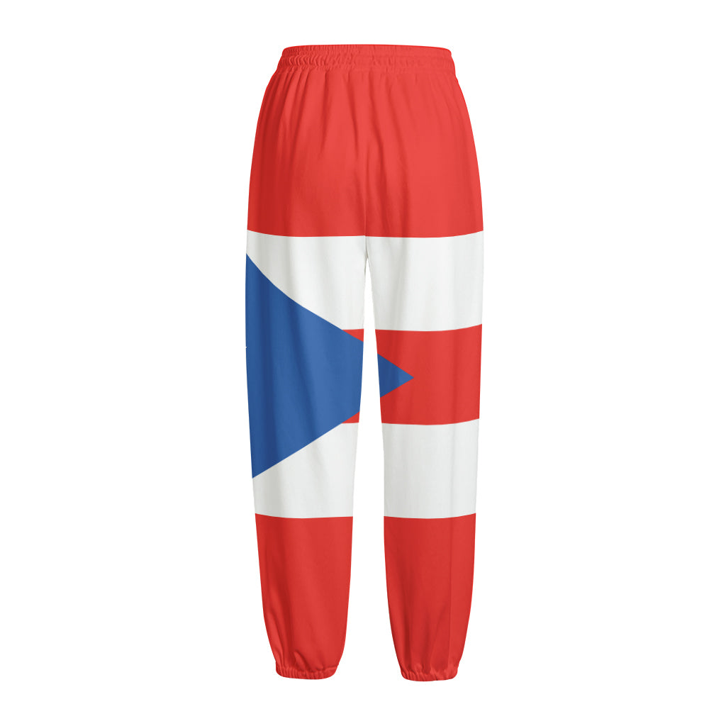 Puerto Rican Flag Print Fleece Lined Knit Pants