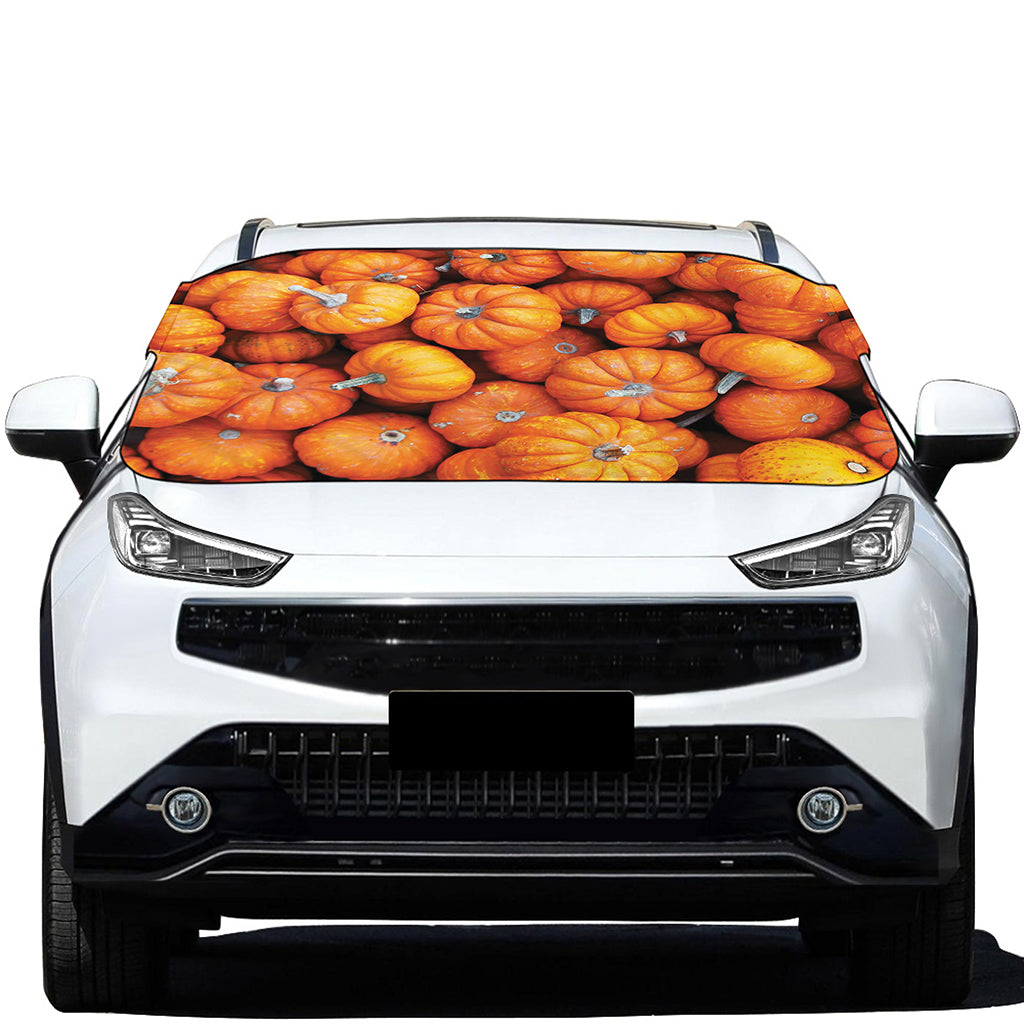 Pumpkin Print Car Windshield Snow Cover