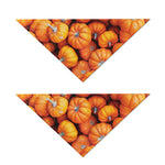 Pumpkin Print Dog Bandana