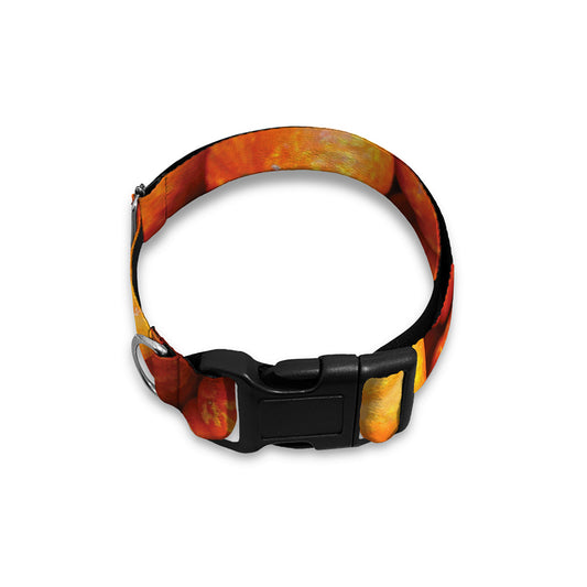 Pumpkin Print Dog Collar